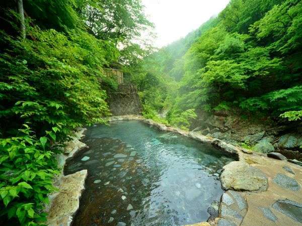 当館自慢の野天風呂は源泉掛け流し〈混浴〉渓流沿いにあり、他にはないここだけの温泉をお楽しみ下さい。