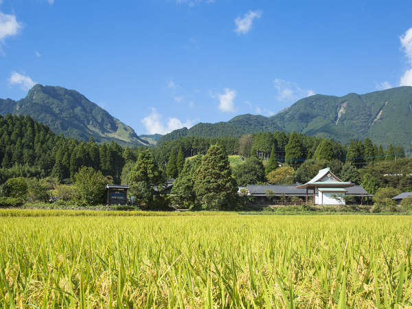 【外観】南阿蘇の大自然に佇むお宿