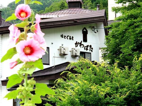 こころ と からだに嬉しい自然菜食の宿 はとぐるま かわばたの写真その1