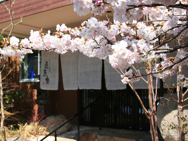 春の東京家
