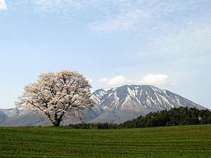 ペンション さんりんしゃの写真その5