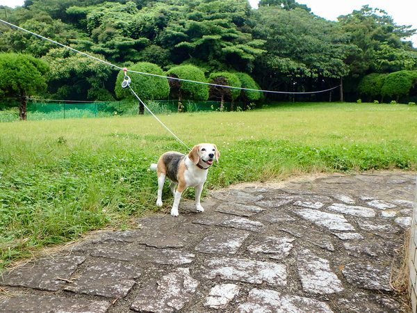 いすみ静森荘の写真その5