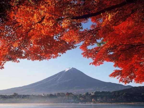 富士山と河口湖の紅葉<例年の紅葉の見ごろ:11月中旬>河口湖まで車で通常20分。