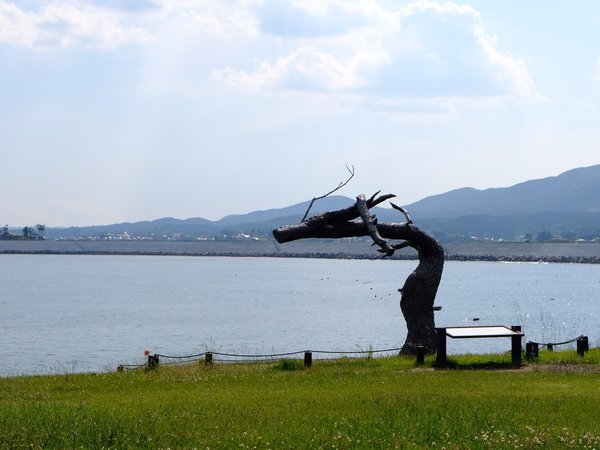 民宿 旅館 沖見屋の写真その5