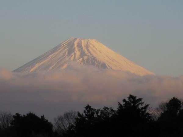スターヒルズから見える富士山