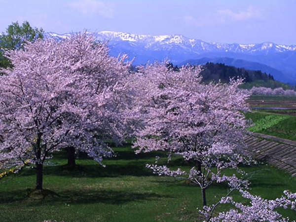 温泉民宿 あけぼの荘の写真その5