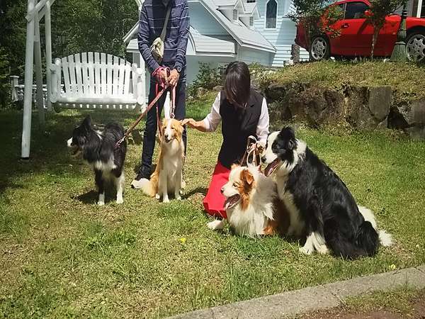 青空の扉 犬と泊まれるプチホテルの写真その4