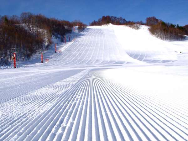 関東唯一のスキーオンリースキー場。