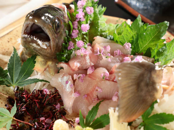 【料理】夕食◆単品　岩魚のお造り*