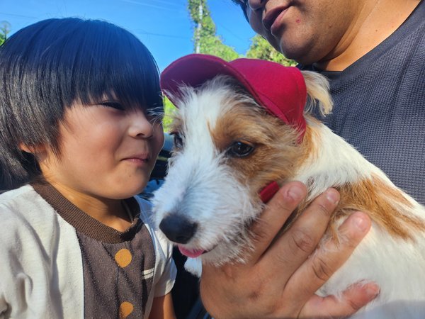 わんちゃんと宿泊は、「ペット愛犬可」のお部屋をお選びください