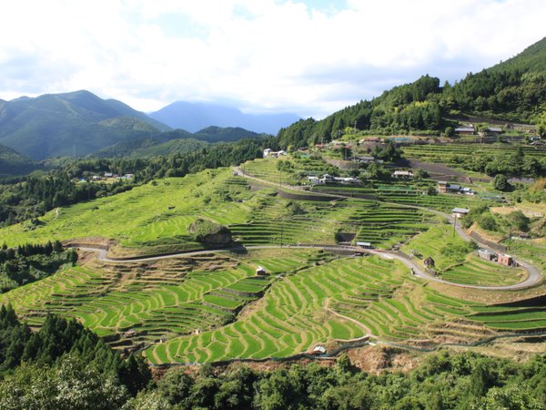 丸山千枚田(夏)