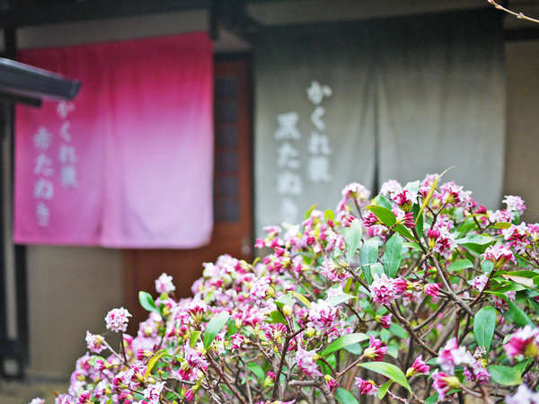 宮乃温泉の湯は肌にやさしい「美肌の湯」☆