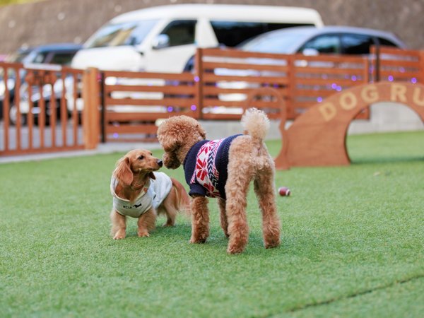 愛犬と泊まれる宿 道後温泉 別邸やすらぎの写真その5