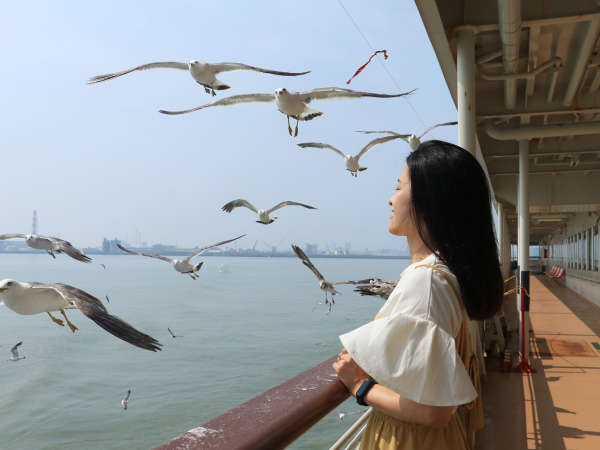 【#景観】大自然が息づく「佐渡」。あなただけの島旅を見つけてください♪