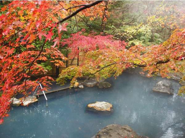 秋には紅く色づいた楓の下で、紅葉風呂をお楽しみください。