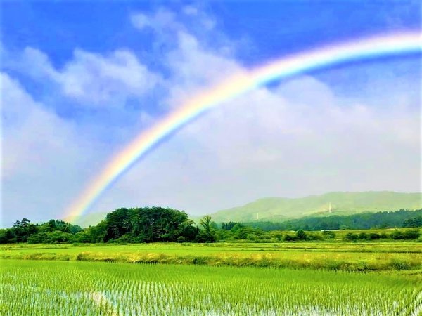 虹の似合う町 雫石町（近隣の田畑と虹）。