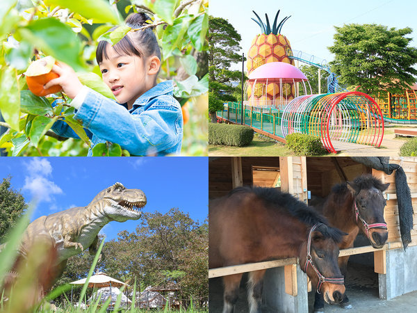 ホテルクラウンパレス浜松（HMIホテルグループ）のプラン「【はままつフルーツパークときのすみか入園券付】浜松名物うな重付プラン」