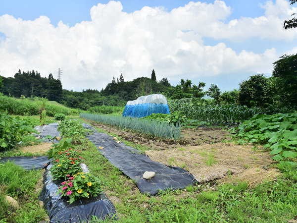 当館自慢の自家菜園のお野菜を是非お楽しみください。