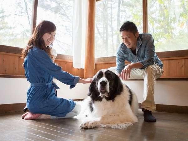 〇わんちゃんと一緒にご旅行の思い出を・・・