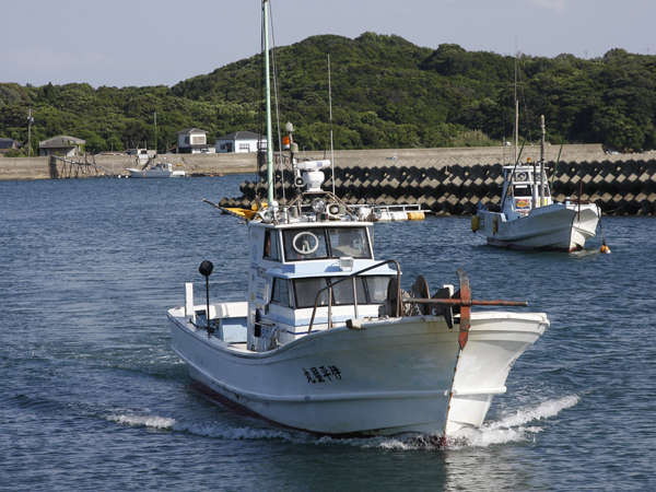 当館の仕入先は海がメインです！