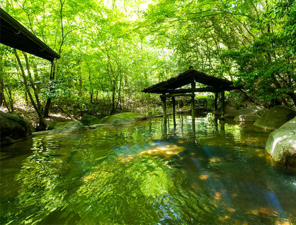 旅館 山河の写真その4