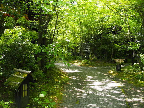 旅館 山河の写真その2