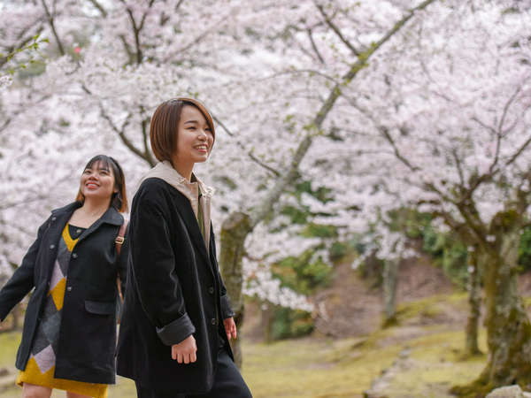 春の記憶に隠れた桜の名所、大元公園♪桜花のカーペットを散策