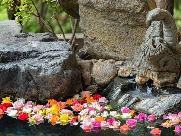 老神温泉 穴原湯 東秀館の写真その2