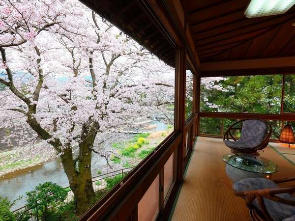 『葵』のお部屋は、桜の時季はご自由に鑑賞できるスペースに！（※21時まで）