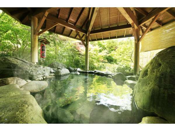 信州佐久 春日温泉 自然体感リゾートかすがの森の写真その2