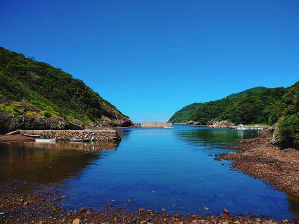 旅館田の浦温泉の写真その4