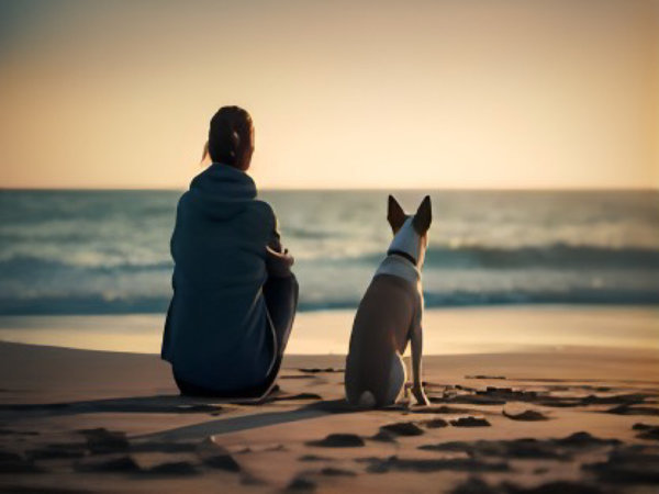 リブマックスリゾートウポポイ白老温泉のプラン「【DOG×STAY】愛犬と旅！白老で過ごす極上スパリゾート！【朝/夕食ブッフェ付】」