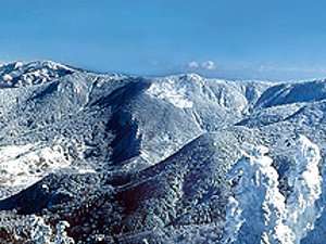 ゲレンデからの眺め