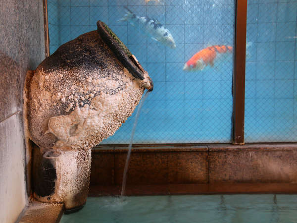 鯉が見られる天然温泉　ぬくもりの宿　ゑびすや旅館のプラン「◆【素泊り☆現金特価】★ビジネス歓迎★チェックイン21時までOK！鯉が見られる天然温泉をゆっくり満喫」