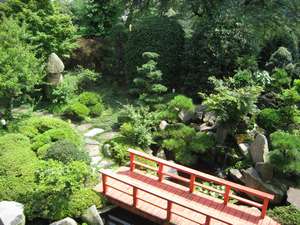 よく手入れされた、日本庭園。池にはたくさんの鯉がゆうゆうと泳いでいる