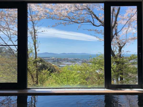 檜風呂の桜と三河湾