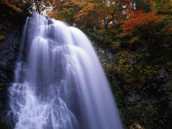 紅葉に染まる『小野川不動滝』