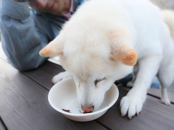 ファームイン南房総・杉田棟の写真その5