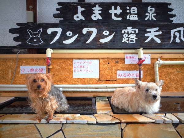 ワンワン露天風呂が新しくキレイになりました♪