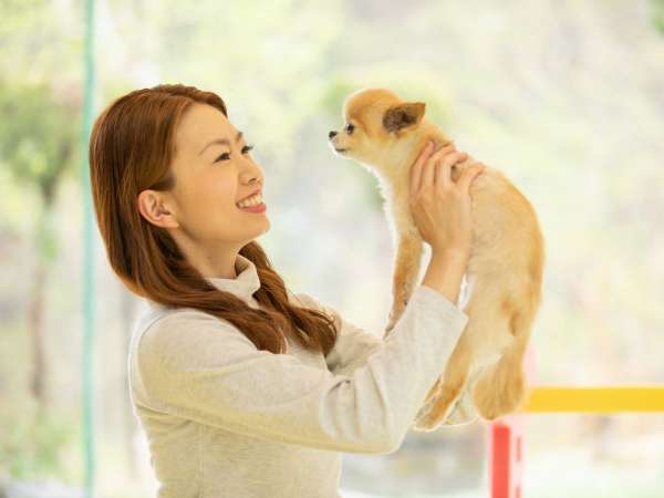 こころ和む愛犬との湯宿 桃の木温泉 さんわそうの写真その4