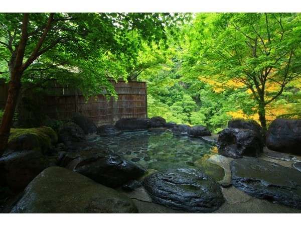 渓流の宿 渓山の写真その3