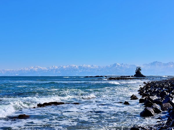 冬の雨晴海岸と立山連峰