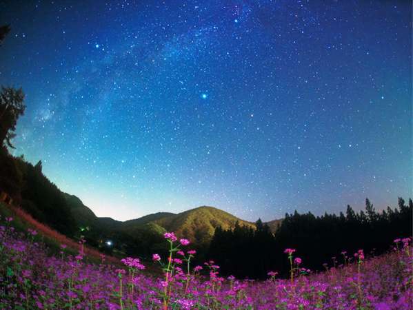 【天空の楽園】日本一の星空を観察ナイトツアー♪