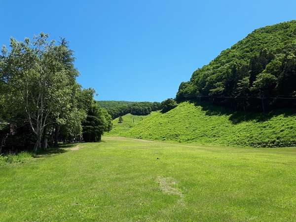 緑いっぱいのグラウンドと広い青空