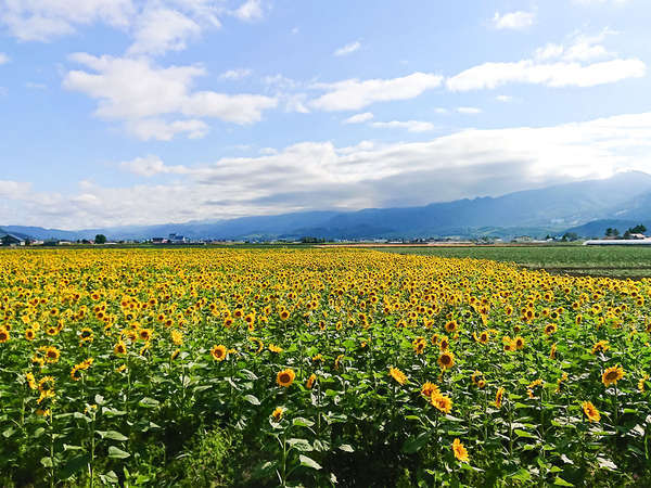 岩盤浴 慈の宿の写真その5