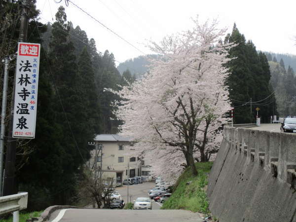 法林寺温泉入り口の坂道