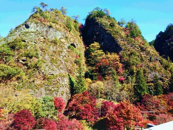 国民宿舎 古岩屋荘の写真その2