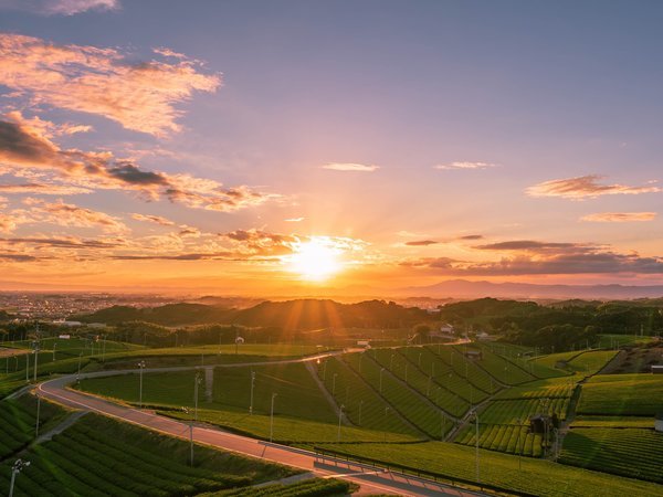 NIPPONIA HOTEL 八女福島 商家町の写真その5