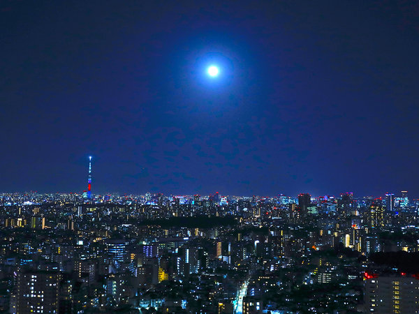 夜景