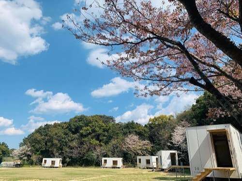 春の時期は桜が満開でお花見もできます。